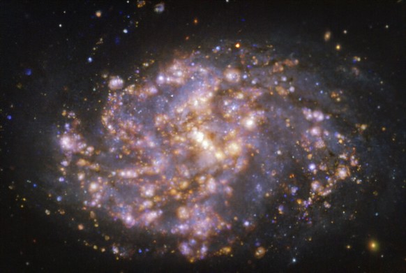 epa09348378 A handout photo made available by the European Southern Observatory (ESO) shows the nearby galaxy NGC 1087 taken with the Multi-Unit Spectroscopic Explorer (MUSE) on ESO?s Very Large Teles ...