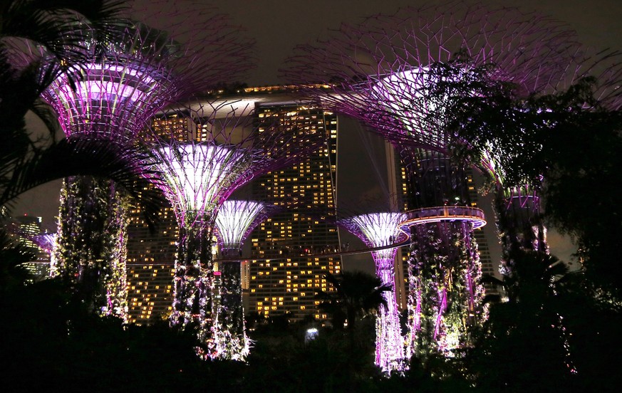 epa04310432 A picture made available on 11 July 2014 of so named Supertrees, built on reclaimed land, during a sound and light show at the Gardens by the Bay, with Marina Bay Sands resort seen in back ...