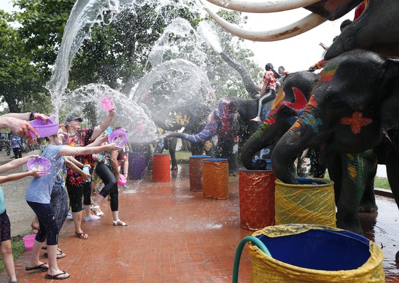 epa05902344 Foreign revelers battle water with elephants during a preview of Songkran Festival celebration, the Thai traditional New Year, also known as the water festival at the ancient world heritag ...