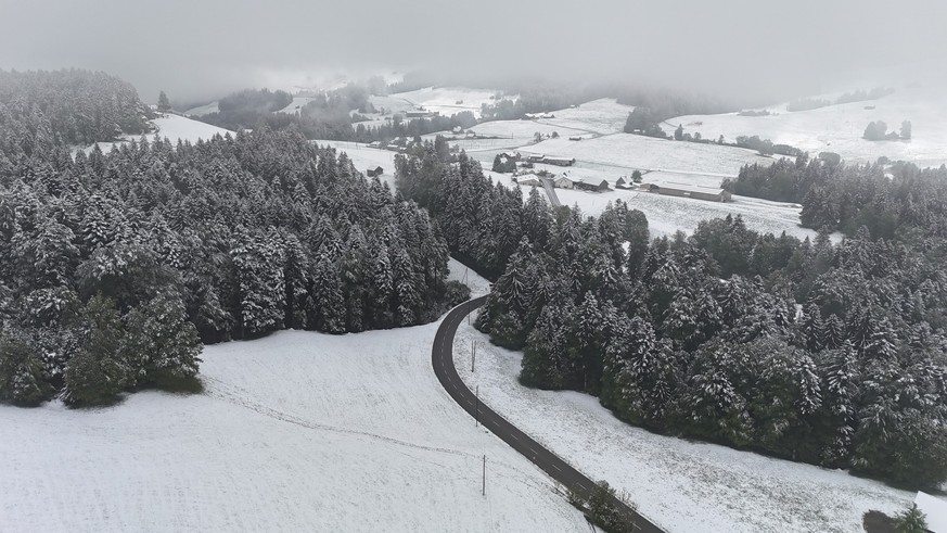 Die verschneite Landschaft bei Heiterswil SG.