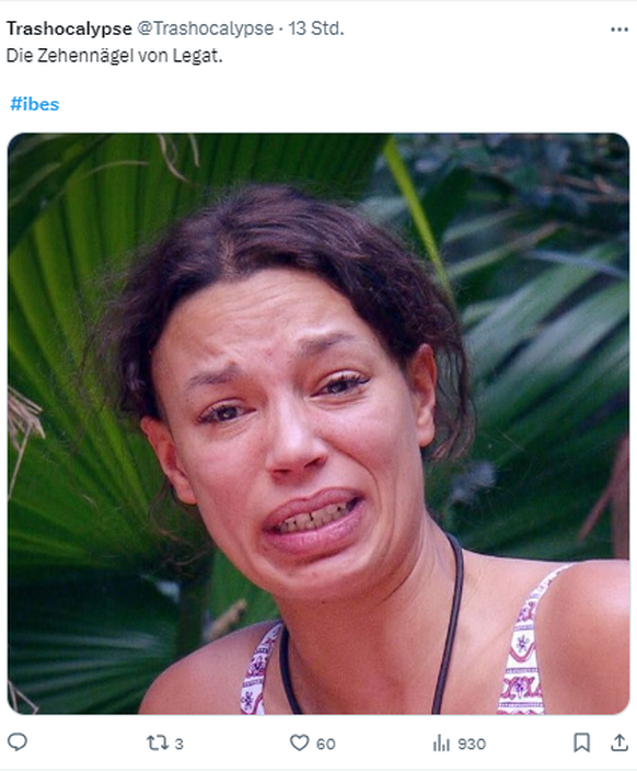 Dschungel Meme