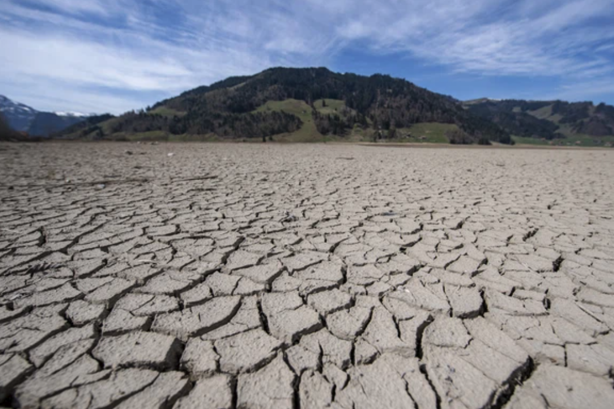 À la mi-avril, le lac de Sihl, dans le canton de Schwyz, était plus sec qu'il ne l'a rarement été ces dernières années. Trois mois plus tard, plusieurs plans d'eau ont débordé de leur l ...