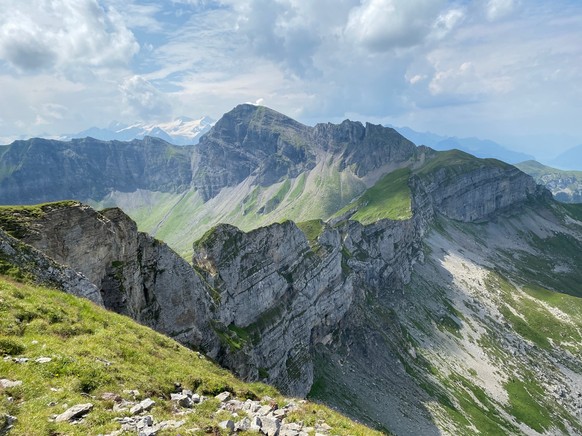 die schweizer bergwelt wird grüner. berge