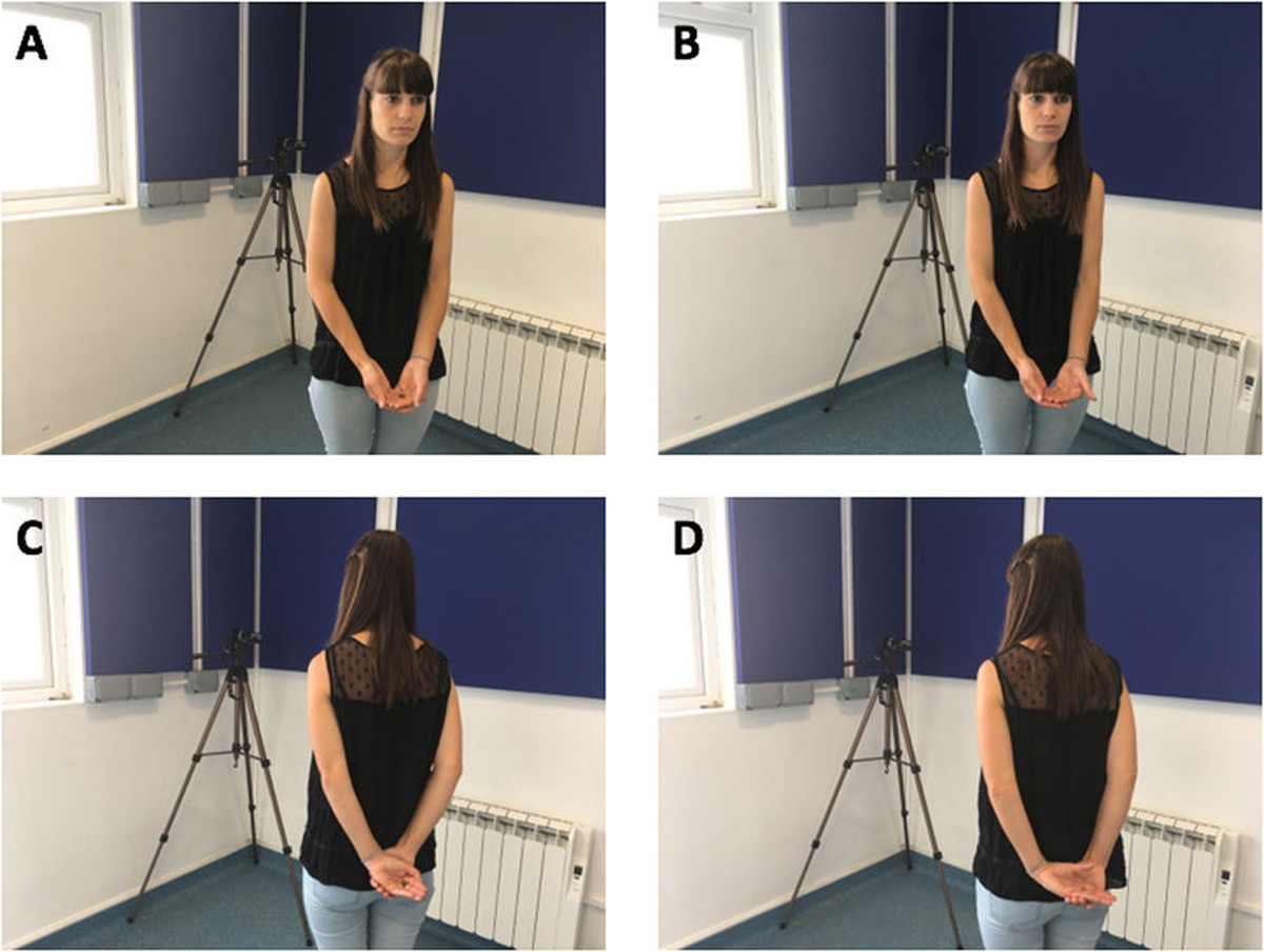 Experiment mit Hunden: Experimenter’s position in the (A) Attentive Food (B) Attentive No food (C) Not attentive Food (D) Not attentive no Food condition.