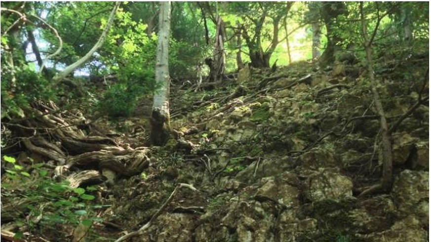 Die Absturzstelle in der Nähe des Cheisacherturmes im Fricktal.