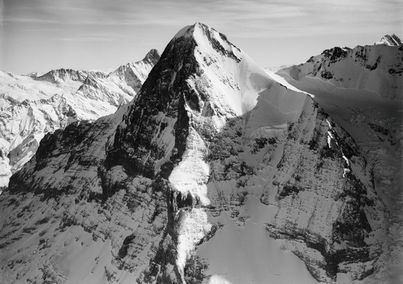 Eiger, Eiger Nordwand, Schreckhorn v. N. W. aus 3800 m