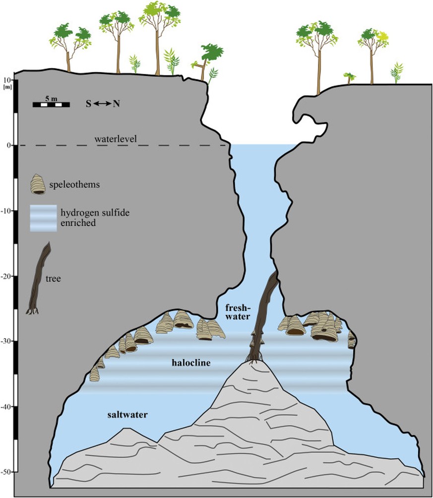 Die «Hells Bells» in der Unterwasser-Höhle auf Yucatán