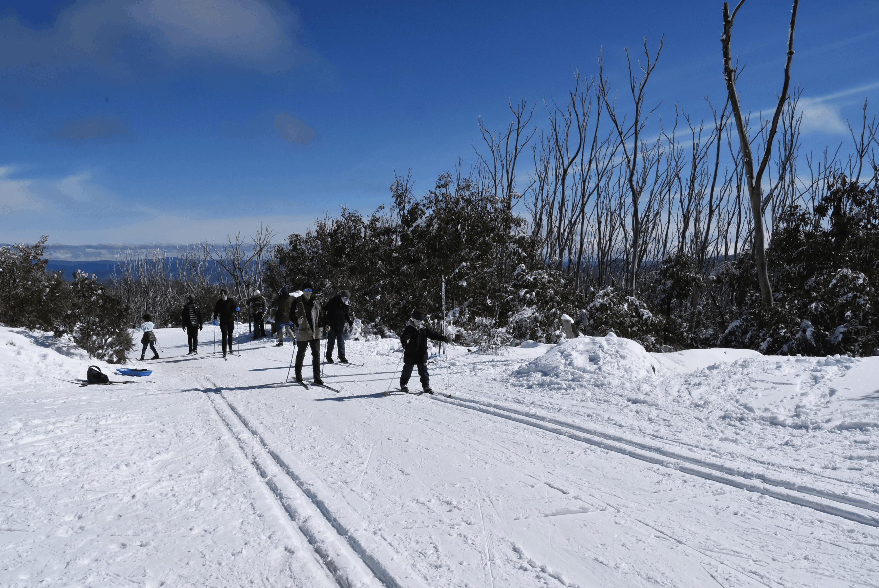 Lake Mountain Melbourne Langlauf