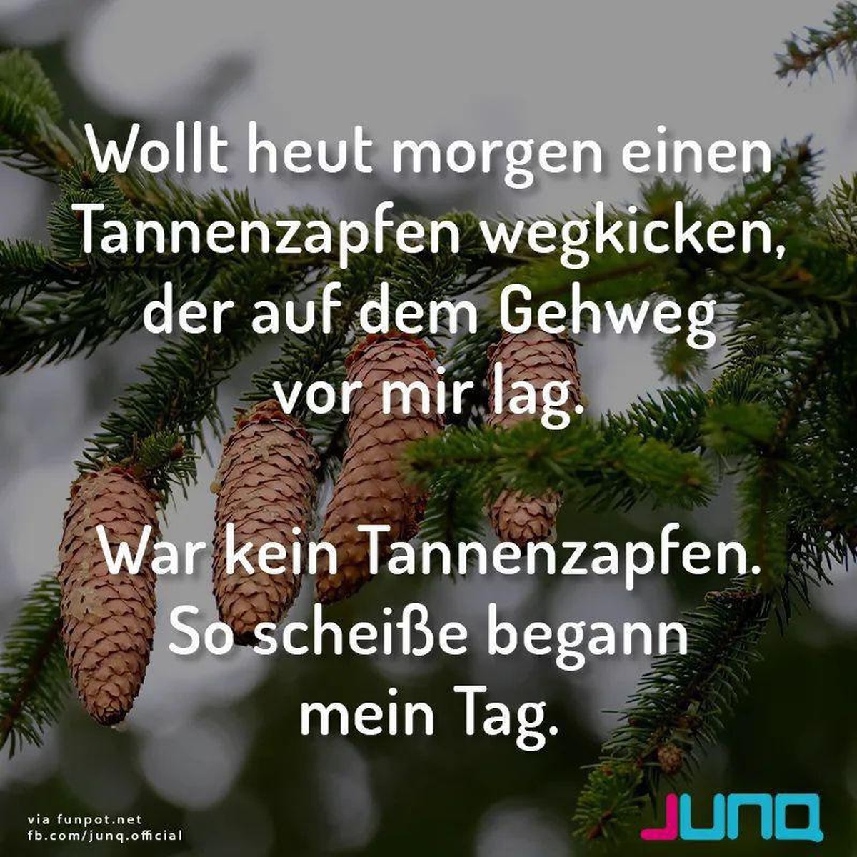 PICDUMP 422 – Abkühlung? Hier entlang! 🥵\nMist... ☹️💩