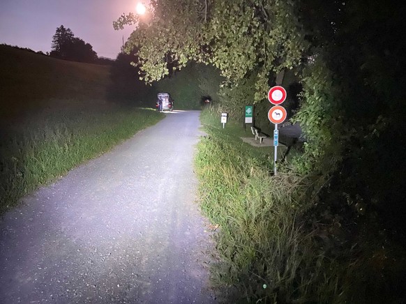 Ein alkoholisierter Fahrzeuglenker wollte am Mittwochabend, 10. August 2022, möglichst schnell nach Hause und fuhr auf einem Fussweg der Reuss entlang. Auf einer Holzbrücke blieb das Auto stecken.