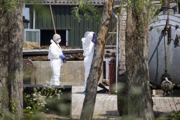 epa09930043 Investigators work at a care farm in Alblasserdam after a deadly shooting in which a 16-year-old girl and a 34-year-old woman were killed, in Rotterdam, The Netherlands, 06 May 2022. EPA/S ...