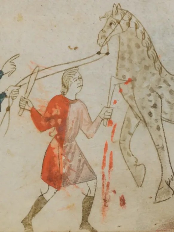 Illustration eines Aderlasses ...
https://recherche.smb.museum/detail/2348379/giordano-rosso-libro-delle-mariscalcie-dei-cavalli--aderlass-eines-pferdes-am-hals
