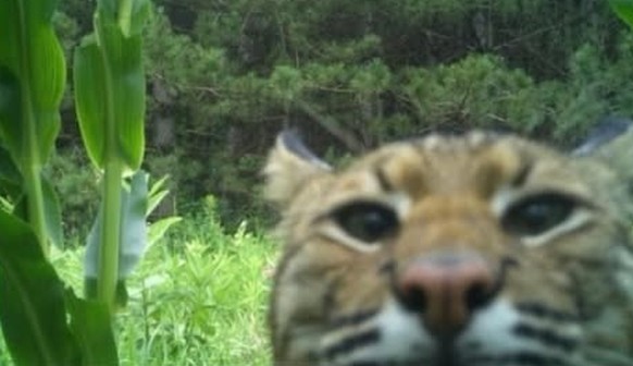 cute news tier wildtierkamera

https://www.instagram.com/p/DHGsGtbykDe/