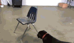 Animiertes GIF