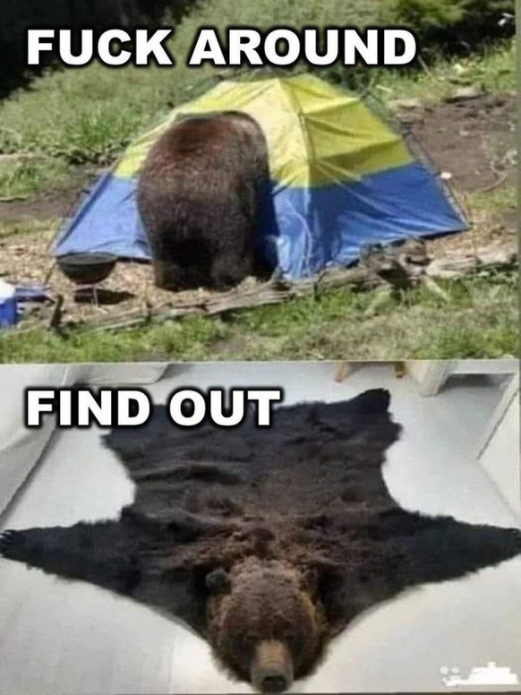 Meme zur erfolgreichen ukrainischen Drohnen-Operation gegen Russlands Bomberflotte.