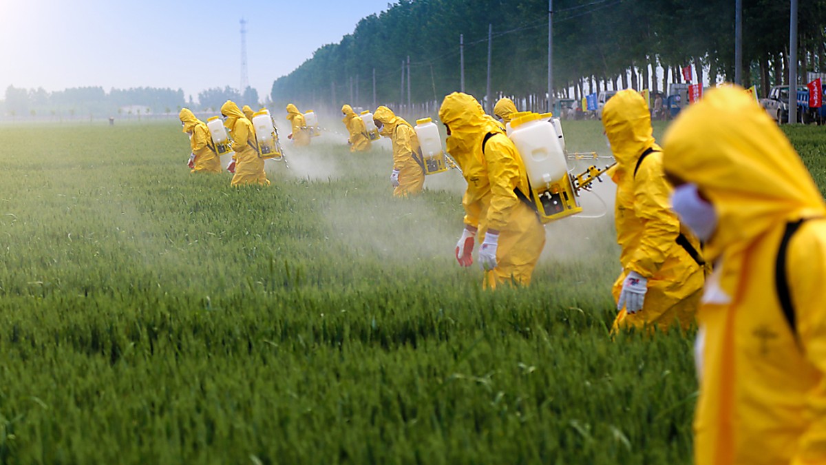 Monokulturen und Pestizide: die veränderte Landnutzung gehört mit Fischerei, Klimawandel und Verschmutzung zu den Hauptursachen für den Niedergang der Artenvielfalt.
