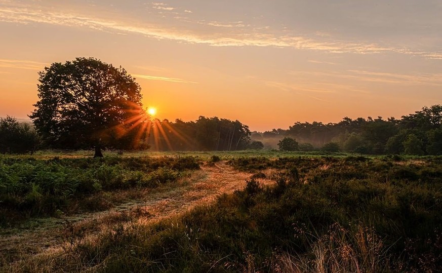 Wahner Heide Telepgraphenberg Rauszeit