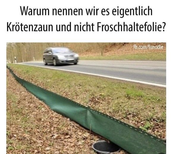 Picdump 112 (Sorry fГјr das Titelbild!)\nWarum eigentlich? рџ¤Ј