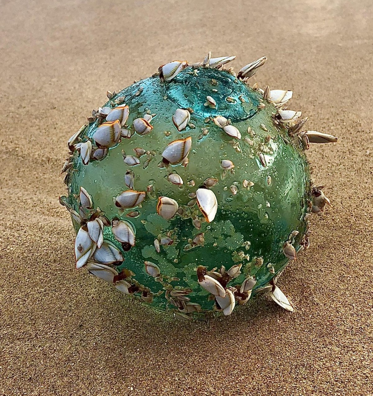 Strand Glaskugel