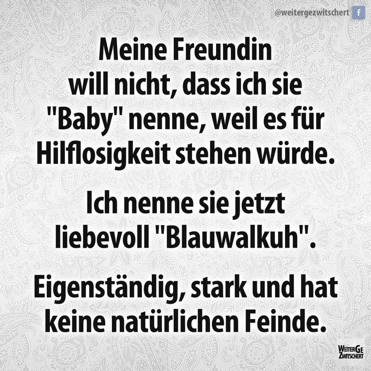 Picdump #22 – Schnapszahl, olé! \n🐋
