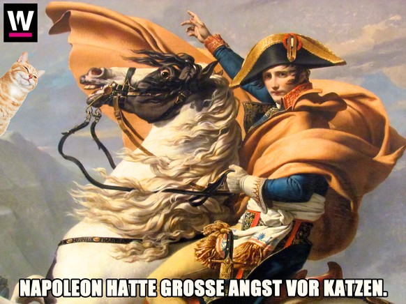Der französische General, Revoluzzer, Diktator und Kaiser Napoleon Bonaparte (1769-1821): Er hatte mehr Angst vor den Fellknäueln als sein Pferd.