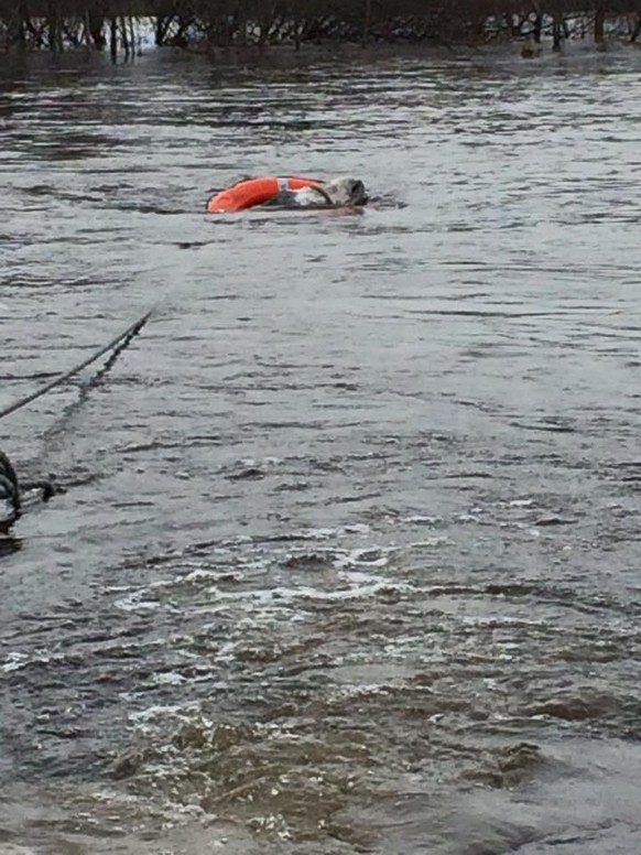 Tierrettung Hochwasser Flut