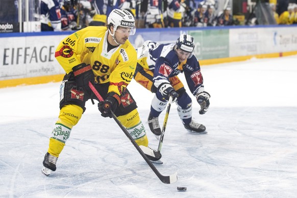 Berns Inti Pestoni, links, im Spiel gegen Zugs Nico Gross, rechts, im Eishockey Spiel der National League zwischen dem EV Zug und dem SC Bern am Donnerstag, 3. Dezember 2020, in der Bossard Arena in Z ...