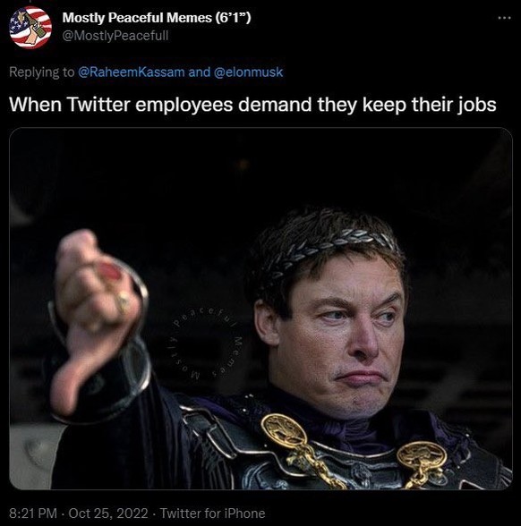 Elon Musk has fired thousands of Twitter employees