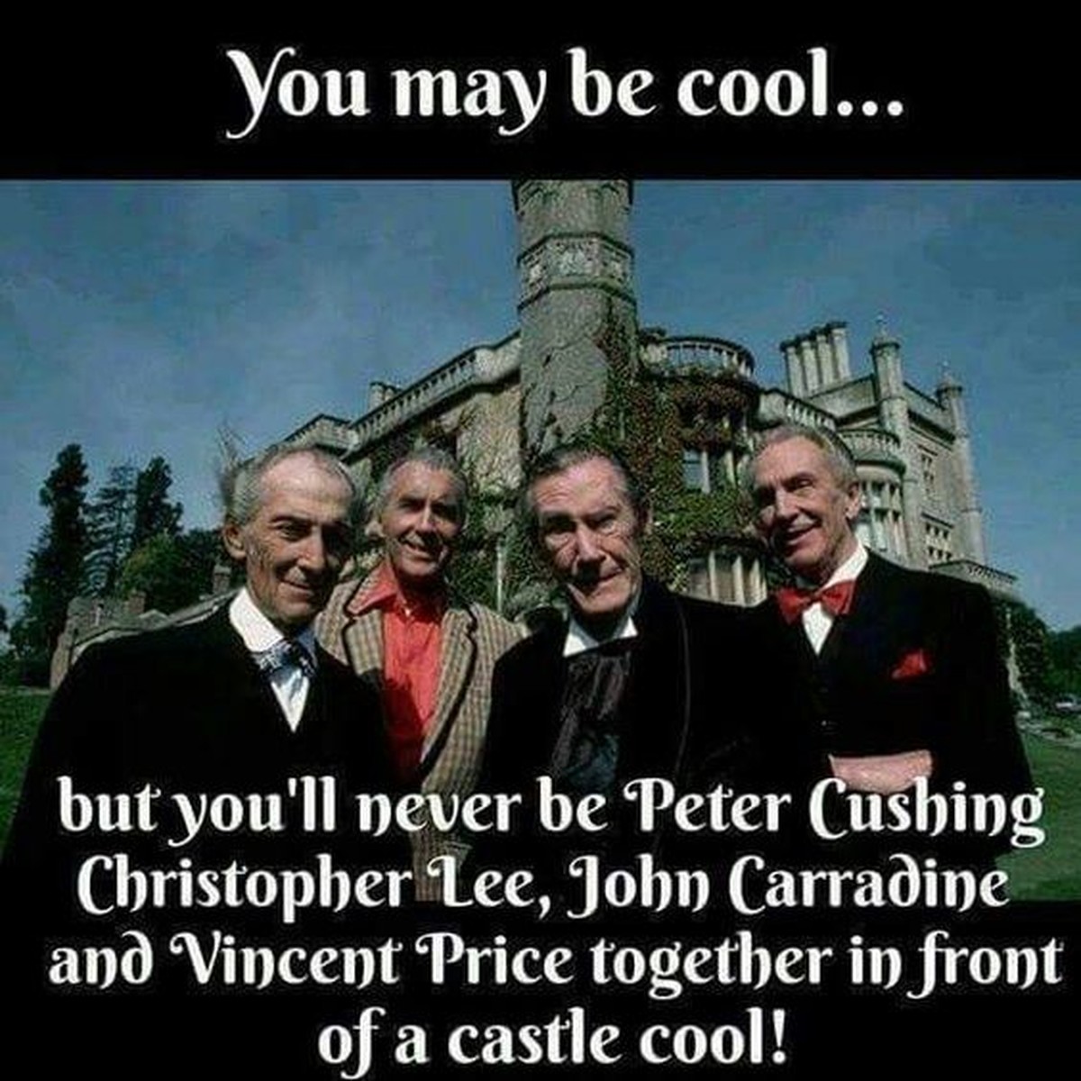 vampira vampyra peter cushing christopher lee john carradine vincent price goth gothic horror tv film retro https://www.pinterest.ch/siriusmoonlight/gothy-stuff/?lp=true