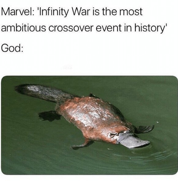Crossover Platypus
https://me.me/i/21185375