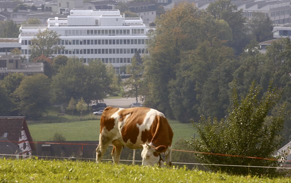 Im Hintergrund das Glencore-Gebäude.