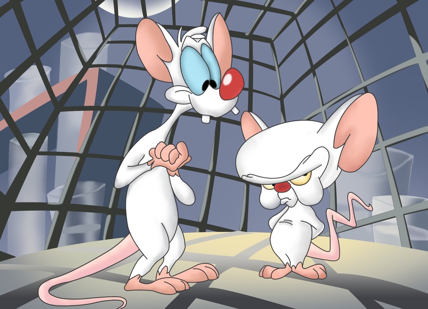 pinky and the brain cartoon network 1990s http://eyeni.info/sekil-yukle/?q=pinky&amp;page=8