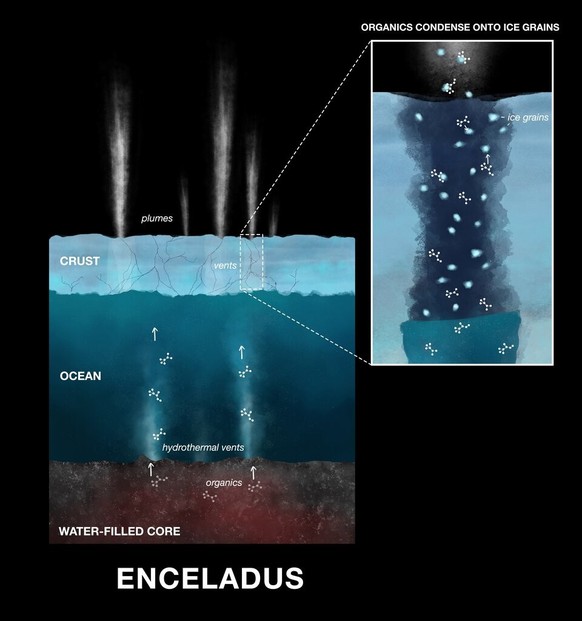 Organische Moleküle inden Eiskörnern des Saturnmondes Enceladus. 
https://www.esa.int/Science_Exploration/Space_Science/Cassini-Huygens/Cassini_proves_complex_chemistry_in_Enceladus_ocean