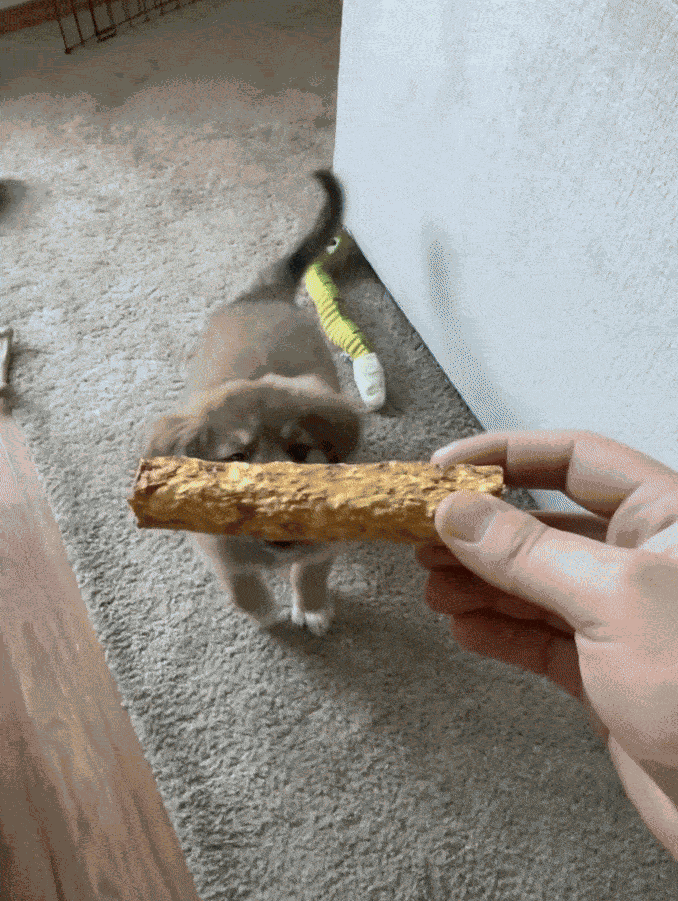 Animiertes GIF