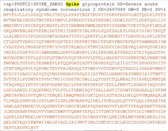 Spike Protein Coronavirus in der Bioinformatik