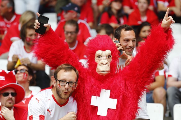 Football Soccer - Switzerland v Poland - EURO 2016 - Round of 16 - Stade Geoffroy-Guichard, Saint-Ãtienne, France - 25/6/16
Switzerland fan in fancy dress before the game
REUTERS/Kai Pfaffenbach
L ...