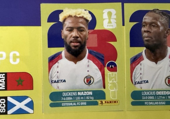 Panini WM 2026