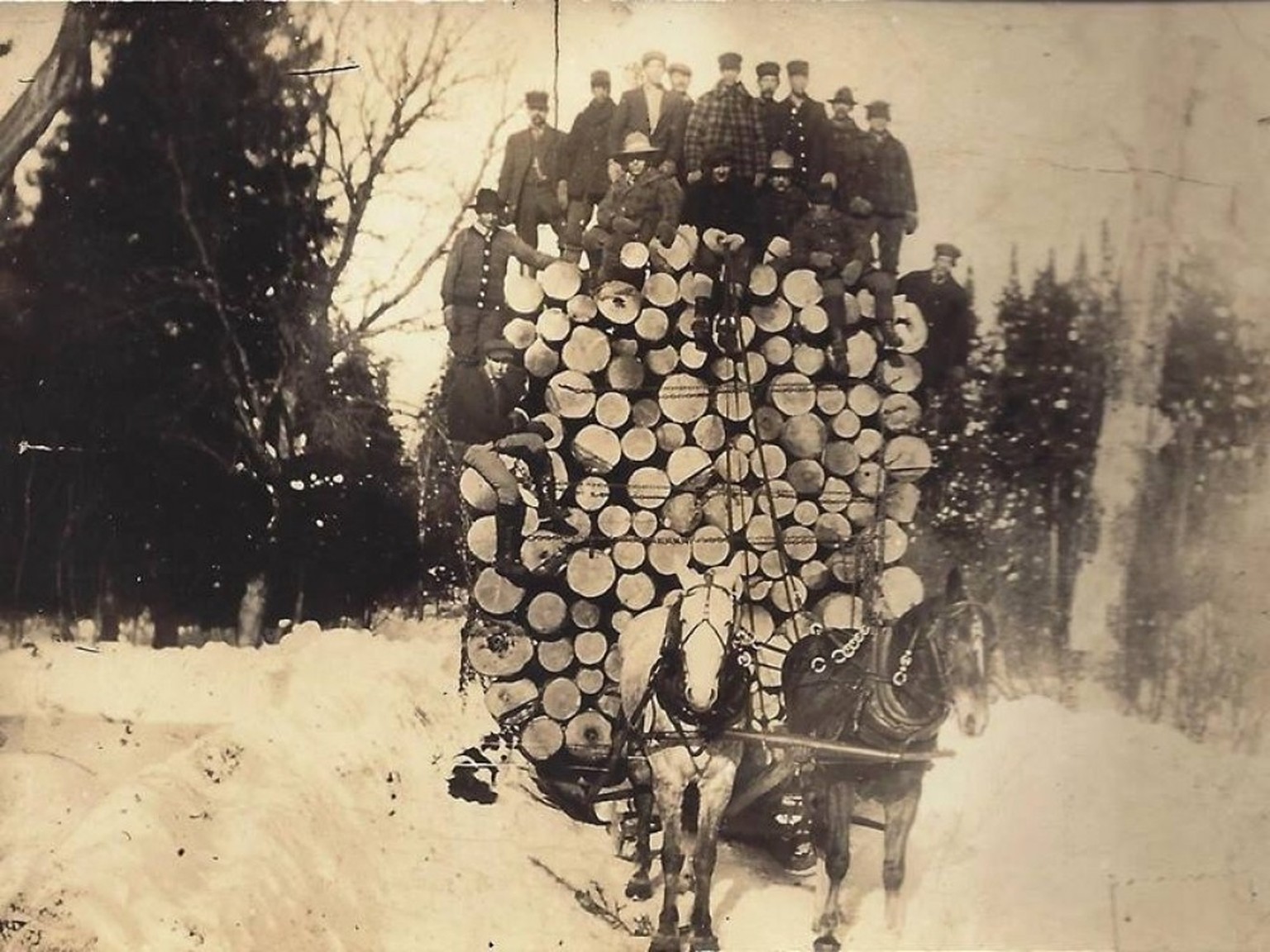 Ein Pferdegespann (zwei Pferde) zieht einen massiv beladenen Holzschlitten durch den Schnee – die Baumstämme sind meterhoch gestapelt, und obendrauf posieren die Holzfäller-Crew für das Foto (ein beli ...