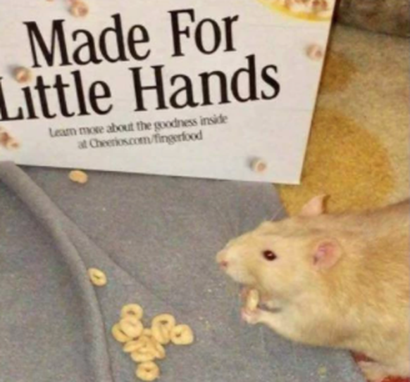 Auf der Verpackung steht: «Gemacht für kleine Hände.»