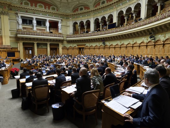 Der Nationalrat hat am Donnerstag das Budget des Bundes mit einem Überschuss von 344 Millionen Franken verabschiedet.