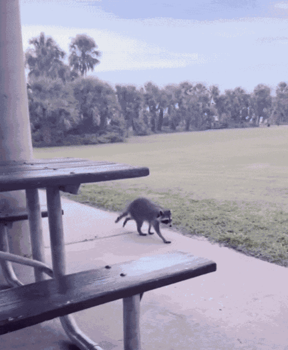 Animiertes GIF