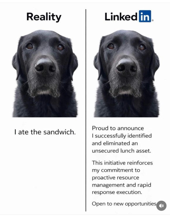 Picdump 178 – die Sonntags-Resultate: Mehr Memes!\n