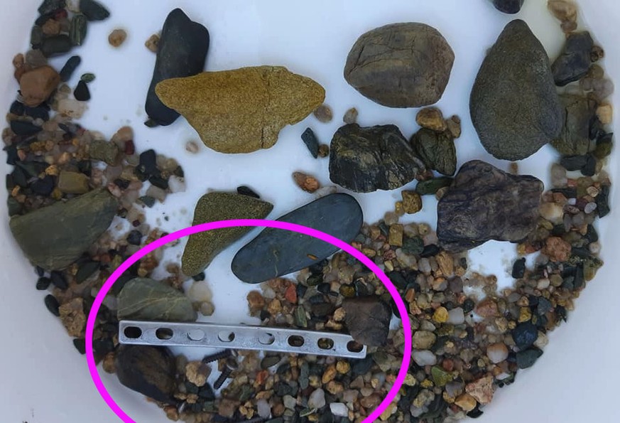 Diese Metallplatte wurde im Krokodil gefunden.