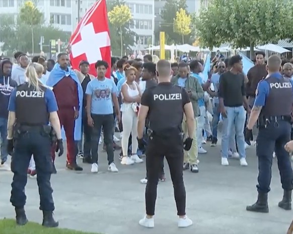 Am Jahrestages des Eritreischen Unabhängigkeitskrieges ist es in Zürich zu einer Massenschlägerei zwischen Regime-Befürwortern und -Gegnern gekommen.