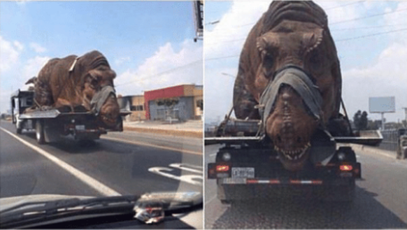 Dinosaurier auf einem Lastwagen
Cute News
https://me.me/i/please-say-no-to-animal-cruelty-this-just-rips-my-20923590