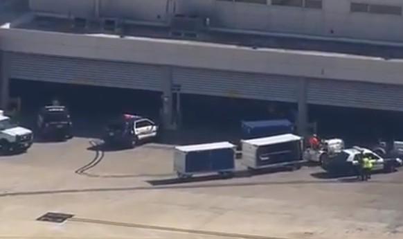 Die Polizei riegelt die Gepäckhalle ab.&nbsp;