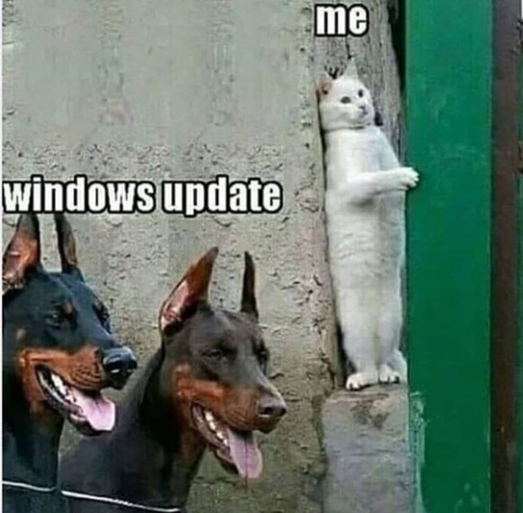 Den Update-Bildschirm von Windows könnten Anwender demnächst weniger oft als bislang zu Gesicht bekommen. Windows Update Meme
