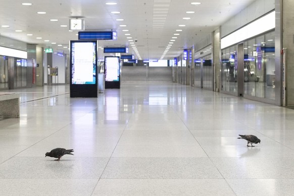 Tauben spazieren durch den menschenleeren Hauptbahnhof in Zuerich am Donnerstag, 19. Maerz 2020. Das Schweizer OeV-Angebot wird ab heute, im Zusammenhang mit dem Coronavirus, schrittweise reduziert.(K ...