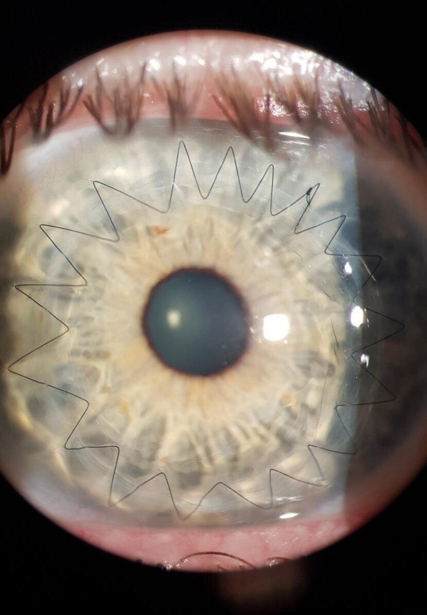 17 GIFs & Bilder mit geilem Science Porn für den spitzen Wissenschaftler in dir