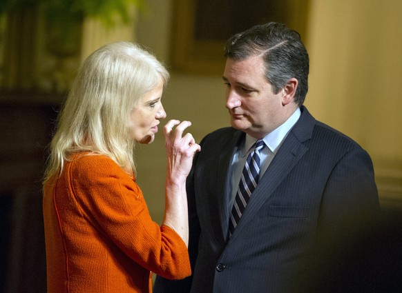 epa05876221 US Republican Senator Ted Cruz (R) and Counselor to the President Kellyanne Conway (L) converse prior to the arrival of US President Donald J. Trump at a reception for US Senators and thei ...